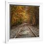 Autumn Tracks (Square), New Hampshire-Vincent James-Framed Photographic Print
