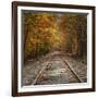 Autumn Tracks (Square), New Hampshire-Vincent James-Framed Photographic Print