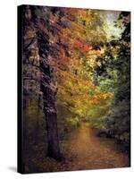 Autumn Trail-Jessica Jenney-Stretched Canvas
