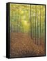 Autumn Trail-Bruce Dumas-Framed Stretched Canvas