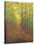 Autumn Trail-Bruce Dumas-Stretched Canvas