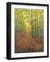 Autumn Trail-Bruce Dumas-Framed Giclee Print