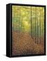 Autumn Trail-Bruce Dumas-Framed Stretched Canvas