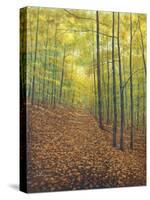 Autumn Trail-Bruce Dumas-Stretched Canvas