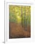 Autumn Trail-Bruce Dumas-Framed Giclee Print