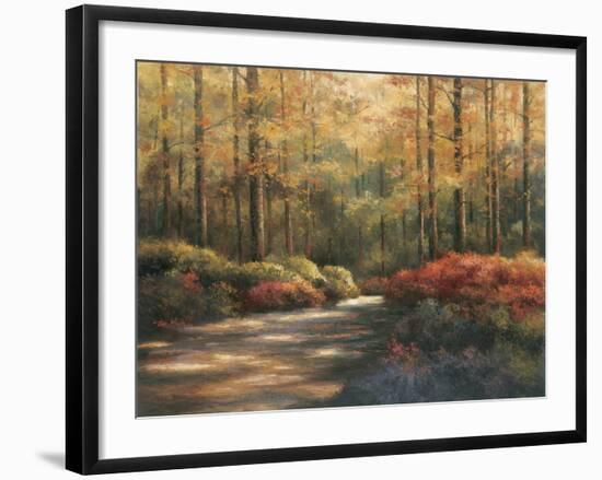 Autumn Trail-TC Chiu-Framed Art Print