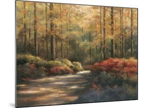 Autumn Trail-TC Chiu-Mounted Art Print