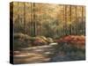 Autumn Trail-TC Chiu-Stretched Canvas