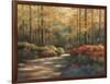 Autumn Trail-TC Chiu-Framed Art Print