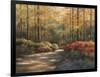 Autumn Trail-TC Chiu-Framed Art Print