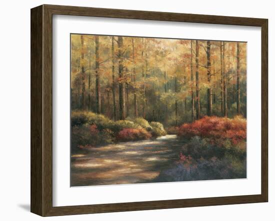 Autumn Trail-TC Chiu-Framed Art Print