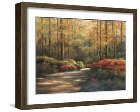 Autumn Trail-TC Chiu-Framed Art Print