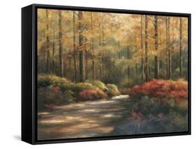 Autumn Trail-TC Chiu-Framed Stretched Canvas