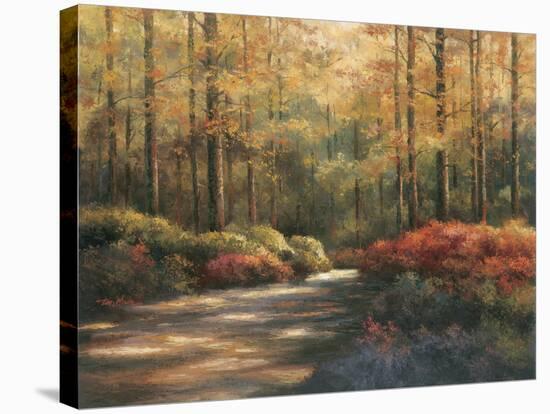 Autumn Trail-TC Chiu-Stretched Canvas