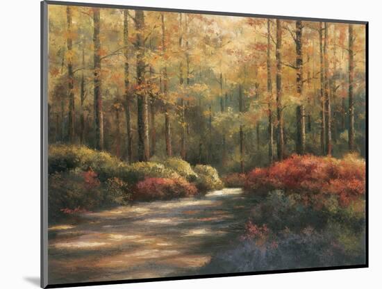 Autumn Trail-TC Chiu-Mounted Art Print