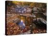 Autumn Tranquility, Upper Whiteoak Falls, Shenandoah NP, Virginia, USA-Jerry Ginsberg-Stretched Canvas