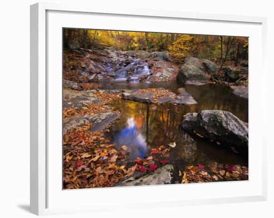 Autumn Tranquility, Upper Whiteoak Falls, Shenandoah NP, Virginia, USA-Jerry Ginsberg-Framed Photographic Print