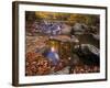 Autumn Tranquility, Upper Whiteoak Falls, Shenandoah NP, Virginia, USA-Jerry Ginsberg-Framed Photographic Print