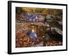 Autumn Tranquility, Upper Whiteoak Falls, Shenandoah NP, Virginia, USA-Jerry Ginsberg-Framed Photographic Print