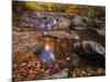 Autumn Tranquility, Upper Whiteoak Falls, Shenandoah NP, Virginia, USA-Jerry Ginsberg-Mounted Photographic Print