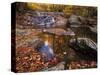 Autumn Tranquility, Upper Whiteoak Falls, Shenandoah NP, Virginia, USA-Jerry Ginsberg-Stretched Canvas