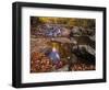 Autumn Tranquility, Upper Whiteoak Falls, Shenandoah NP, Virginia, USA-Jerry Ginsberg-Framed Photographic Print