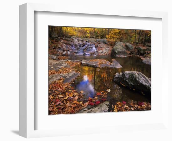 Autumn Tranquility, Upper Whiteoak Falls, Shenandoah NP, Virginia, USA-Jerry Ginsberg-Framed Photographic Print