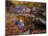 Autumn Tranquility, Upper Whiteoak Falls, Shenandoah NP, Virginia, USA-Jerry Ginsberg-Mounted Photographic Print