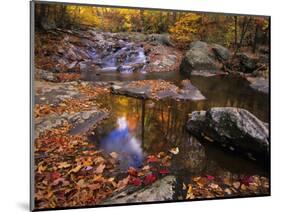 Autumn Tranquility, Upper Whiteoak Falls, Shenandoah NP, Virginia, USA-Jerry Ginsberg-Mounted Photographic Print