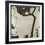 Autumn Tree, 1909-Egon Schiele-Framed Giclee Print