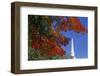 Autumn tree branch and church steeple, Vermont, USA-Panoramic Images-Framed Photographic Print