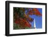 Autumn tree branch and church steeple, Vermont, USA-Panoramic Images-Framed Photographic Print