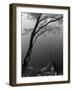 Autumn Tree by Bank of Pond Concentric Circles in the Water Ripple Effect Nature Leaves-null-Framed Photographic Print