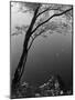 Autumn Tree by Bank of Pond Concentric Circles in the Water Ripple Effect Nature Leaves-null-Mounted Photographic Print