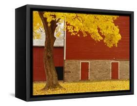 Autumn Tree by Red Barn-Bob Krist-Framed Stretched Canvas