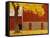 Autumn Tree by Red Barn-Bob Krist-Framed Stretched Canvas