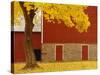 Autumn Tree by Red Barn-Bob Krist-Stretched Canvas