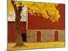 Autumn Tree by Red Barn-Bob Krist-Mounted Photographic Print