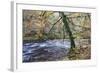 Autumn Tree by the River Nidd in Nidd Gorge Woods-Mark Sunderland-Framed Photographic Print