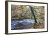 Autumn Tree by the River Nidd in Nidd Gorge Woods-Mark Sunderland-Framed Photographic Print
