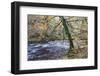 Autumn Tree by the River Nidd in Nidd Gorge Woods-Mark Sunderland-Framed Photographic Print