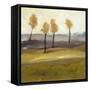 Autumn Tree I-Bradford Brenner-Framed Stretched Canvas