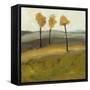 Autumn Tree II-Bradford Brenner-Framed Stretched Canvas