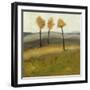 Autumn Tree II-Bradford Brenner-Framed Art Print