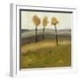 Autumn Tree II-Bradford Brenner-Framed Art Print