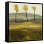 Autumn Tree III-Bradford Brenner-Framed Stretched Canvas