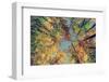 Autumn Tree Leaves - Instagram-SHS Photography-Framed Photographic Print