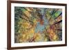 Autumn Tree Leaves - Instagram-SHS Photography-Framed Photographic Print