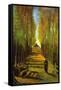 Autumn Tree Lined Lane Leading To a Farm House-Vincent van Gogh-Framed Stretched Canvas