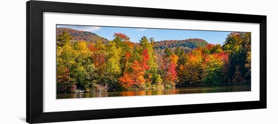 Autumn tree reflected in a pond, Sally's Pond, West Bolton, Quebec, Canada-null-Framed Photographic Print